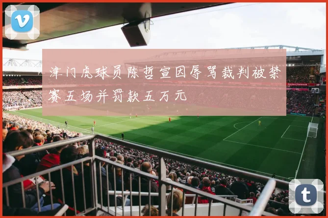 津门虎球员陈哲宣因辱骂裁判被禁赛五场并罚款五万元