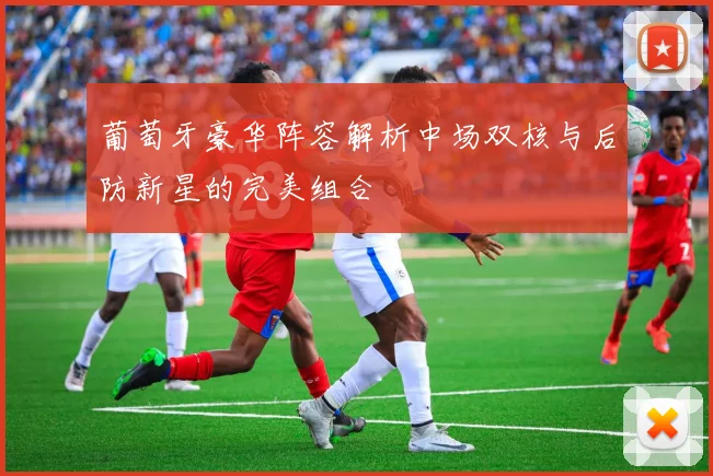 葡萄牙豪华阵容解析中场双核与后防新星的完美组合
